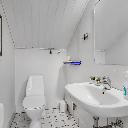 Pet Friendly In With Sauna Oksbol (Syddanmark)